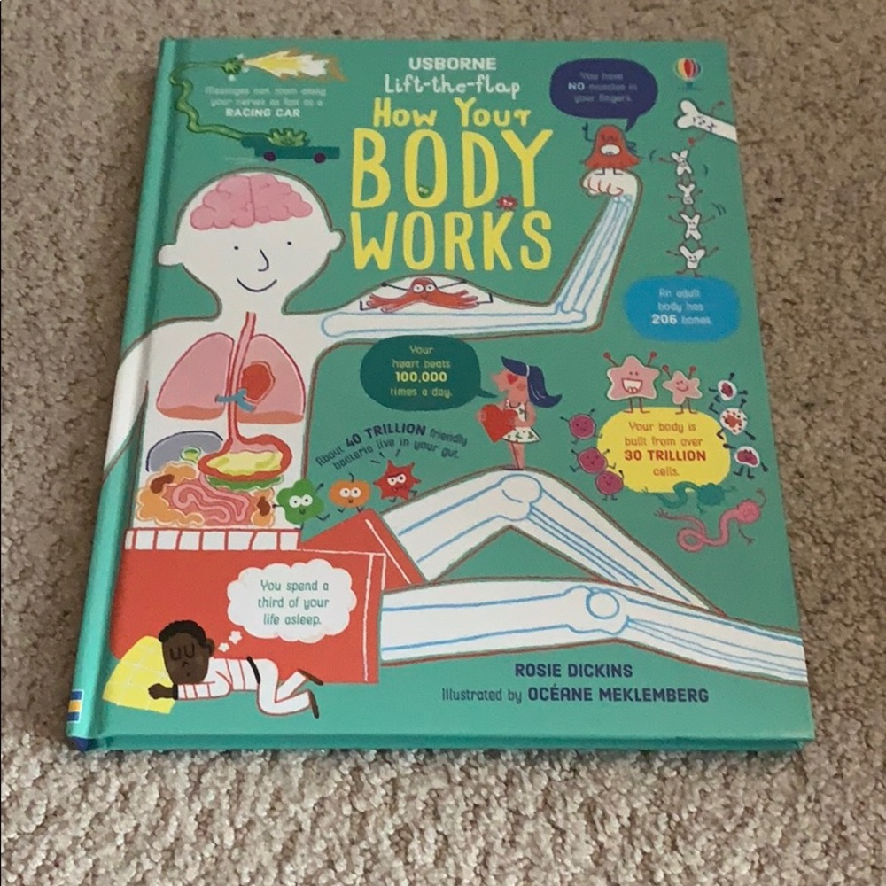 Usborne Lift the Flap - how your body works
